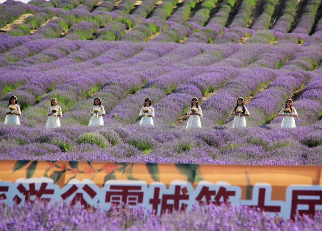 "惠远古城·芳香霍城" 2021伊犁国际旅游谷霍城第十届薰衣草文化国际
