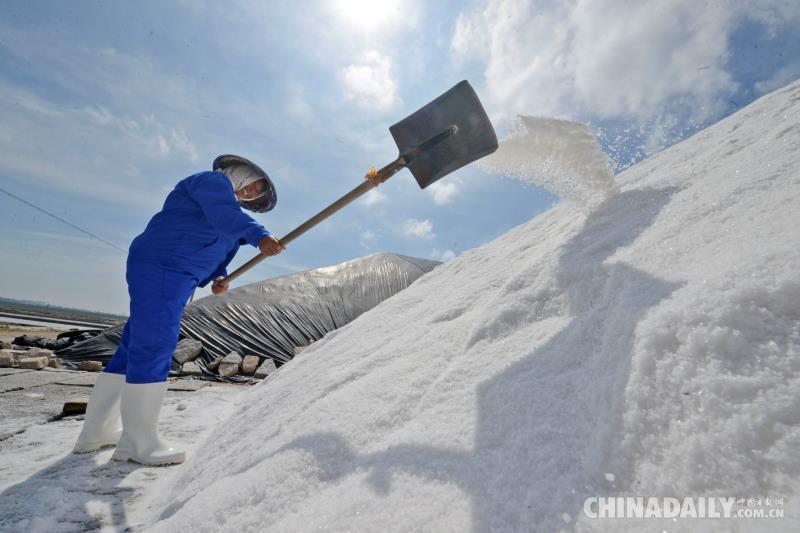 在福建省泉州市泉港区山腰盐场东海工区,一名盐工在堆垛原盐.